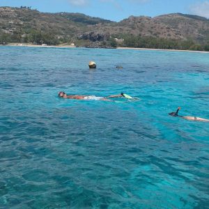 Snorkelling Riviere Banane rodrigues